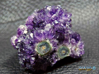 アメシストフラワー(紫水晶花) Q-22-23