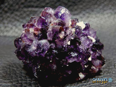 アメシストフラワー(紫水晶花) Q-22-24