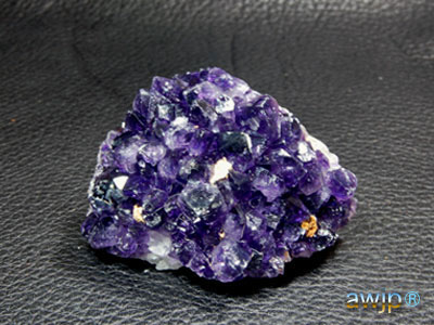 アメシストフラワー(紫水晶花) Q-22-6