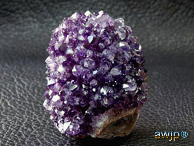 アメシストフラワー(紫水晶花) Q-22-9